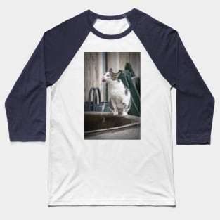 Katze trinkt am Brunnen Baseball T-Shirt